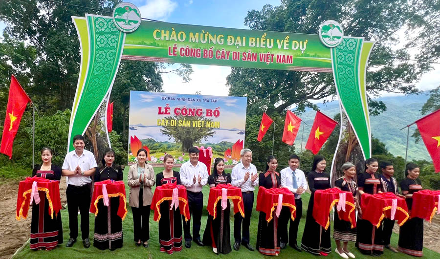 Tộc[-]người[-]Xơ[-]Đăng[-]tr&ecirc;n[-]d&atilde;y[-]Trường[-]Sơn[-]vinh[-]danh[-]C&acirc;y[-]Di[-]sản[-]Việt[-]Nam[-]v&agrave;o[-]ng&agrave;y[-]lễ[-]c&uacute;ng[-]thần[-]rừng